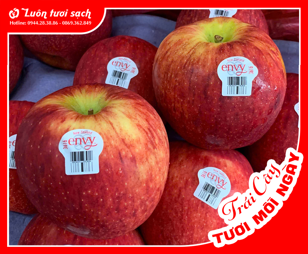 Táo Envy Mỹ size 72